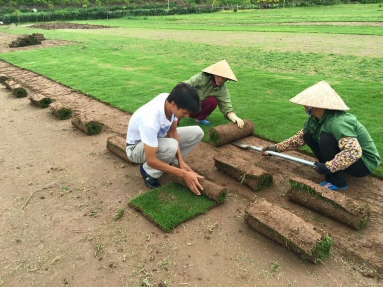Báo giá theo nhu cầu thực tế